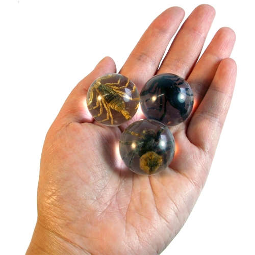 Arachnid marbles set of 3